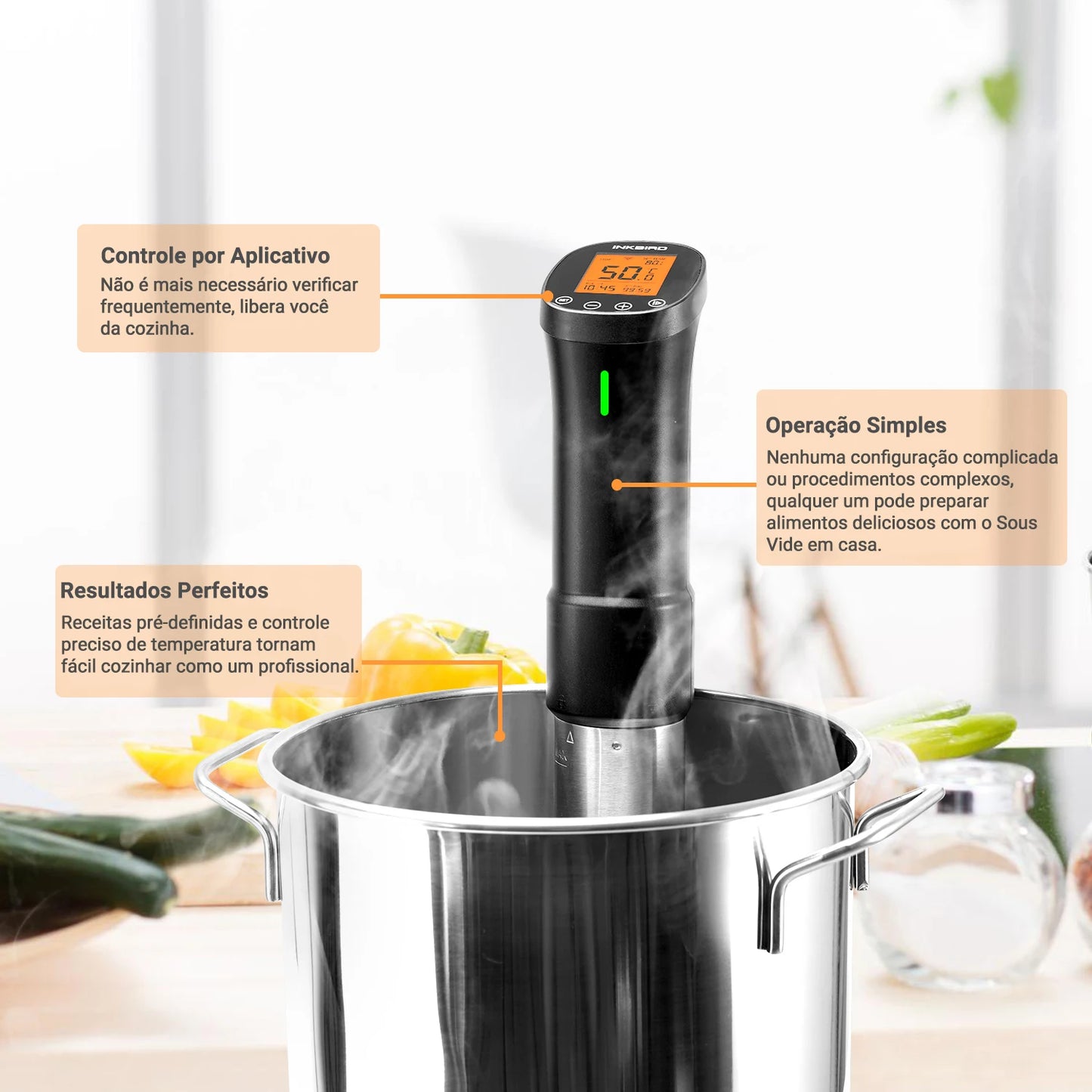 INKBIRD Culinary Sous Vide ISV-200W Wi-Fi Precision Cooker Powerful&Durable Immersion Circulator with Stainless Steel Components